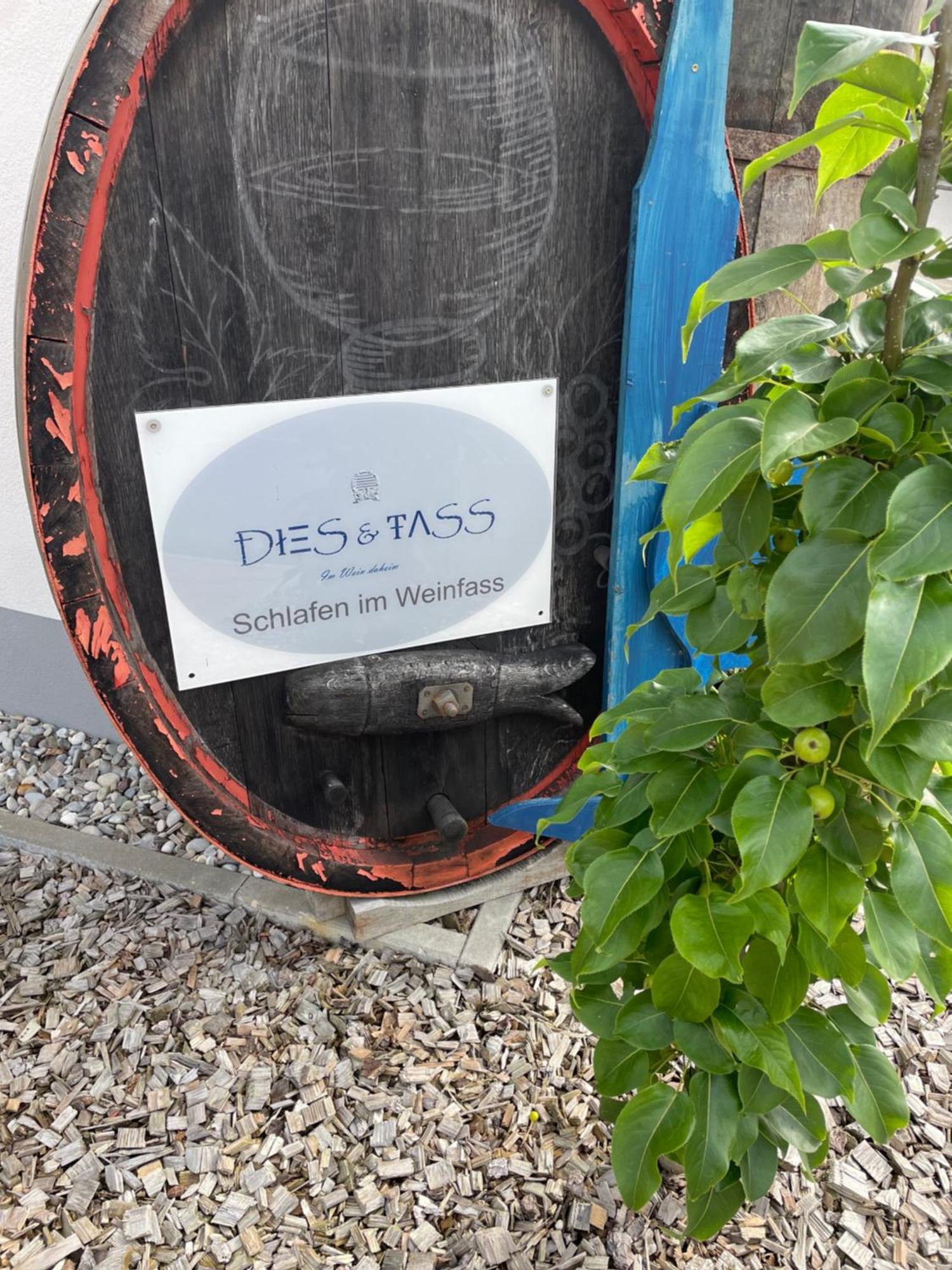 شقة Schlafen Im Weinfass Ipsheim المظهر الخارجي الصورة